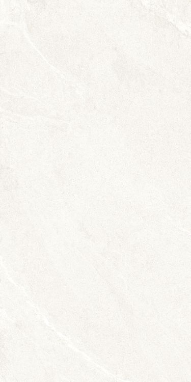 Dhara White Matte 24 x 48